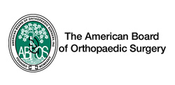 The American Board of Orthopaedic Surgery